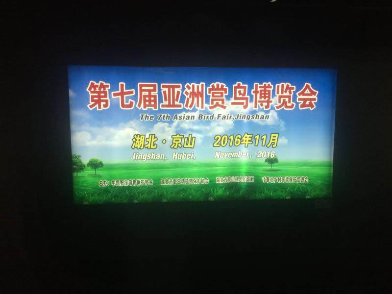 14925757_1191751204196648_7857677239927623566_n