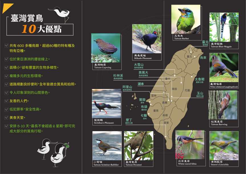 2018亞洲賞鳥摺頁_0919中-2