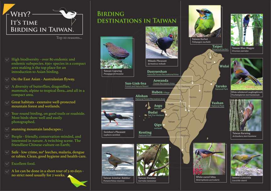 2018亞洲賞鳥摺頁_0919英-2